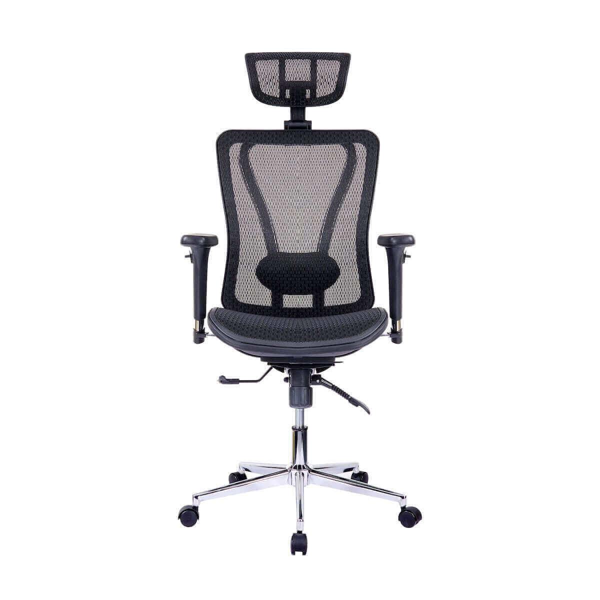 Techni Mobili Black High Back Executive Mesh Office Chair with Arms, Headrest, and Lumbar Support RTA-1009-BK