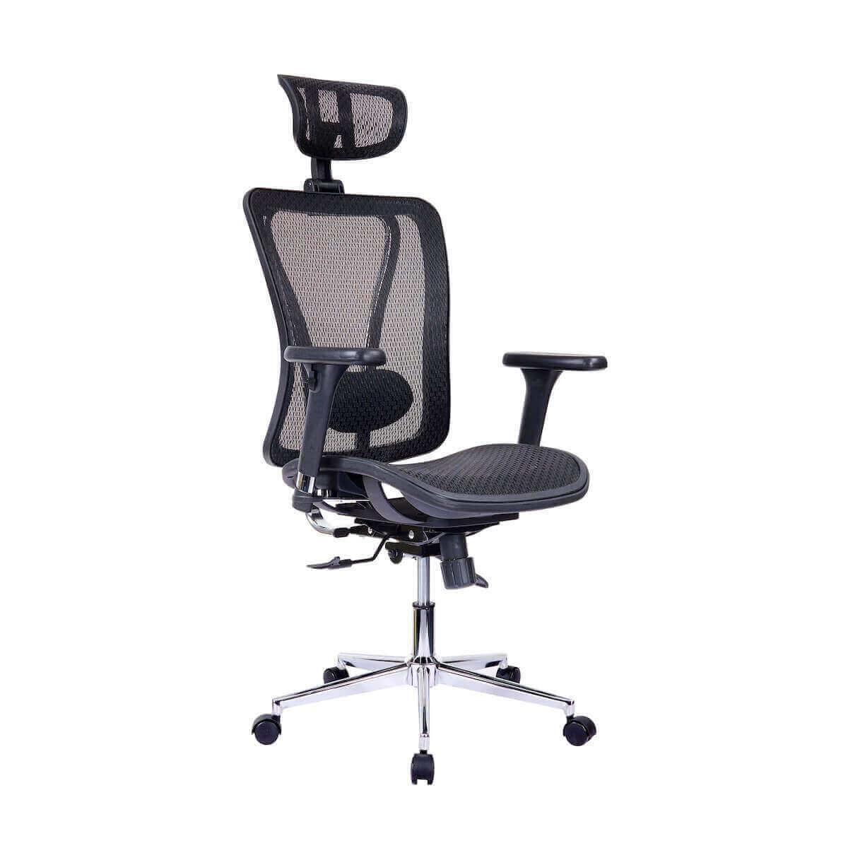Techni Mobili Black High Back Executive Mesh Office Chair with Arms, Headrest, and Lumbar Support RTA-1009-BK Angle
